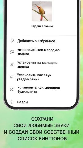 Пение Птиц Рингтоны для Android — скриншот 4