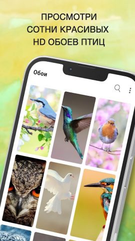 Пение Птиц Рингтоны для Android — скриншот 5