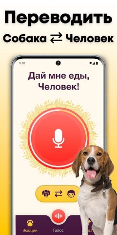 Переводчик для собак : собачий для Android — скриншот 2