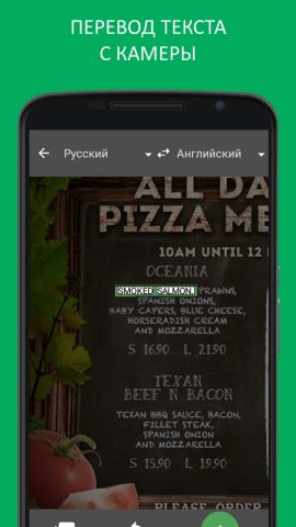 Переводчик и словарь PROMT.One — скриншот 3