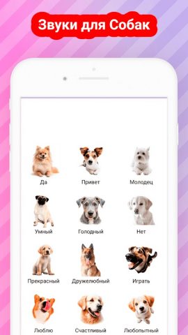Переводчик на собачий язык для Android — скриншот 3