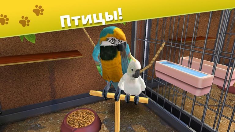 Pet World: приют для животных — скриншот 2