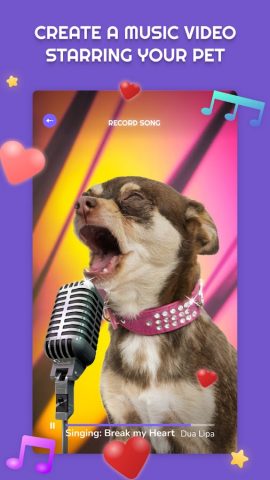PetStar для Android — скриншот 1