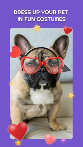 PetStar для Android — скриншот 3