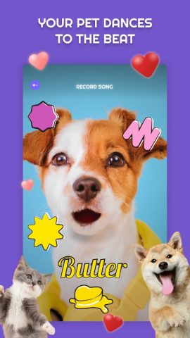 PetStar для Android — скриншот 5
