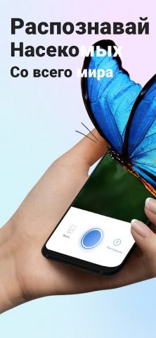 Picture Insect: Bug Identifier для Android — скриншот 1