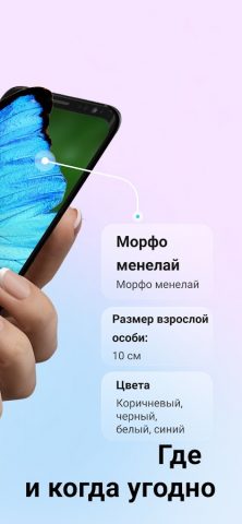 Picture Insect: Bug Identifier для Android — скриншот 2