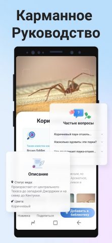 Picture Insect: Bug Identifier для Android — скриншот 5