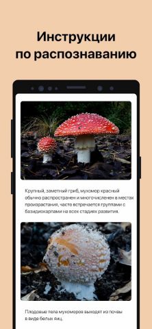 Picture Mushroom — Mushroom ID для Android — скриншот 4