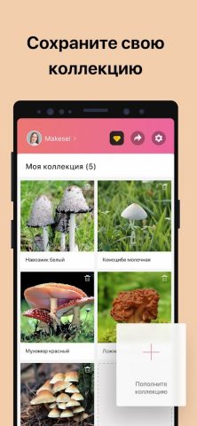 Picture Mushroom — Mushroom ID для Android — скриншот 5