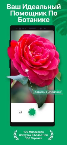 PictureThis растения признать — скриншот 1