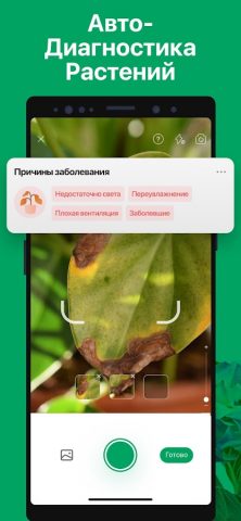 PictureThis растения признать — скриншот 4