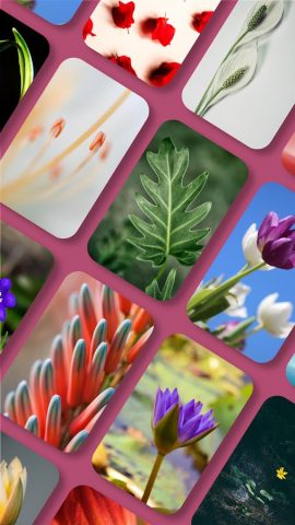 Pix Launcher — Pixel Edition для Android — скриншот 5