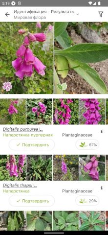 PlantNet Plant Identification — скриншот 2