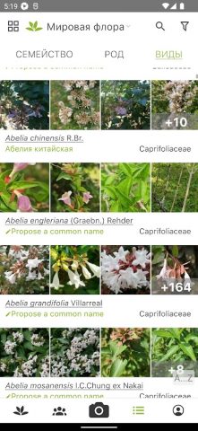 PlantNet Plant Identification — скриншот 3