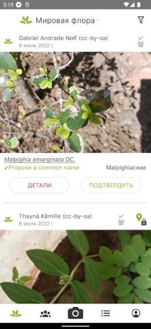 PlantNet Plant Identification — скриншот 4