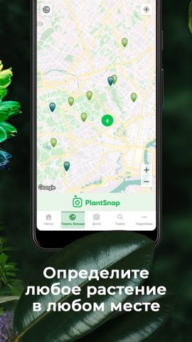 PlantSnap — скриншот 4
