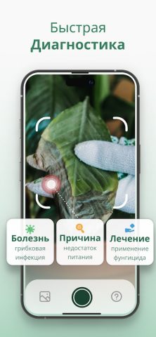 Plantify Определитель Растений для Android — скриншот 4