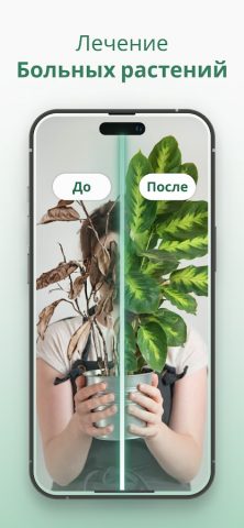 Plantify Определитель Растений для Android — скриншот 5
