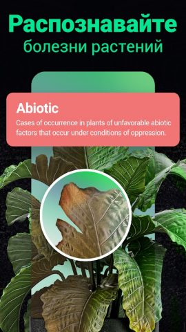Plantum・Распознавание растений для Android — скриншот 2