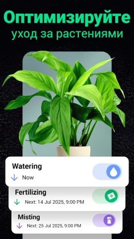 Plantum・Распознавание растений для Android — скриншот 3