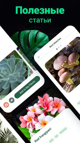 Plantum・Распознавание растений для Android — скриншот 4