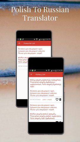 Polish To Russian Translator для Android — скриншот 4