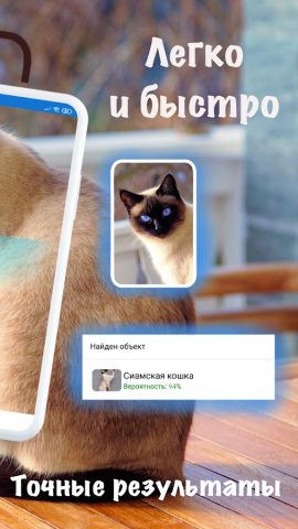 Породы кошек — идентификатор для Android — скриншот 2