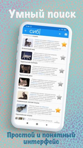Породы кошек — идентификатор для Android — скриншот 3