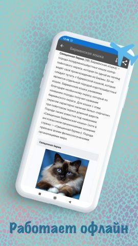 Породы кошек — идентификатор для Android — скриншот 4