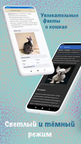 Породы кошек — идентификатор для Android — скриншот 5