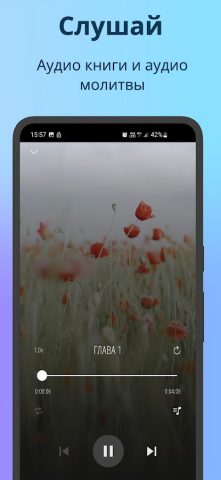 Православный Молитвослов для Android — скриншот 3