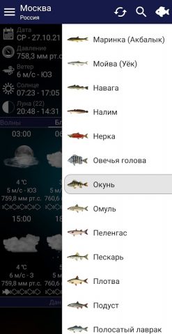 Прогноз клева для Android — скриншот 2