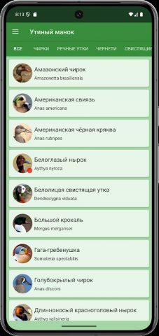 Прогрессивный Утиный манок для Android — скриншот 2