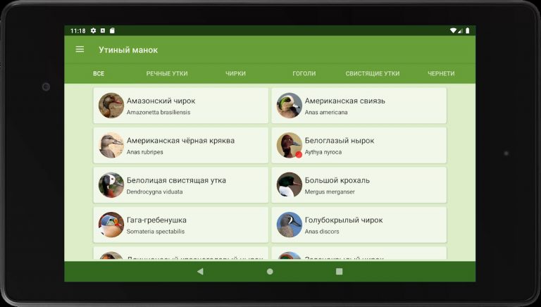 Прогрессивный Утиный манок для Android — скриншот 5