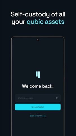 Qubic Wallet для Android — скриншот 1