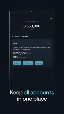 Qubic Wallet для Android — скриншот 2