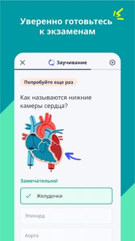Quizlet — скриншот 3