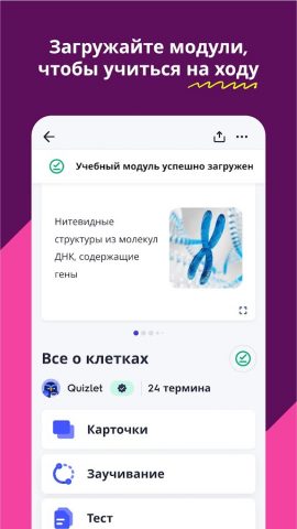 Quizlet — скриншот 4