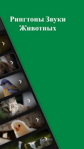 Рингтоны Звуки Животных для Android — скриншот 2
