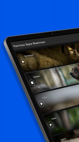 Рингтоны Звуки Животных для Android — скриншот 5