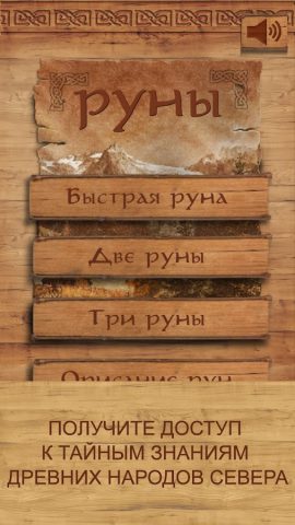 Руны — карманный советник для Android — скриншот 1