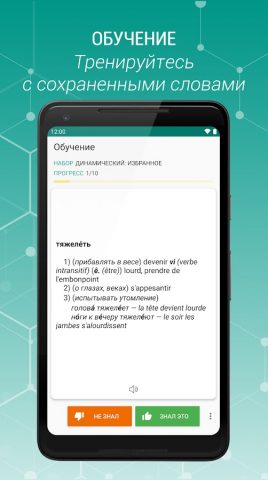 Русско-французский словарь для Android — скриншот 2