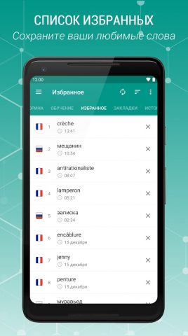 Русско-французский словарь для Android — скриншот 3