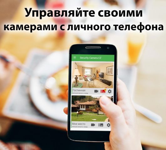 Security Camera CZ — скриншот 2