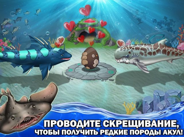 Shark World для Android — скриншот 4