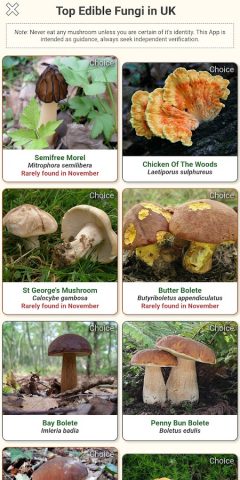 Shroomify — Mushroom Identific для Android — скриншот 1
