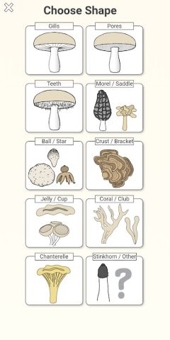 Shroomify — Mushroom Identific для Android — скриншот 4