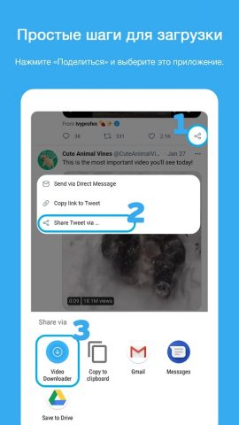 Скачать видео из Twitter для Android — скриншот 2