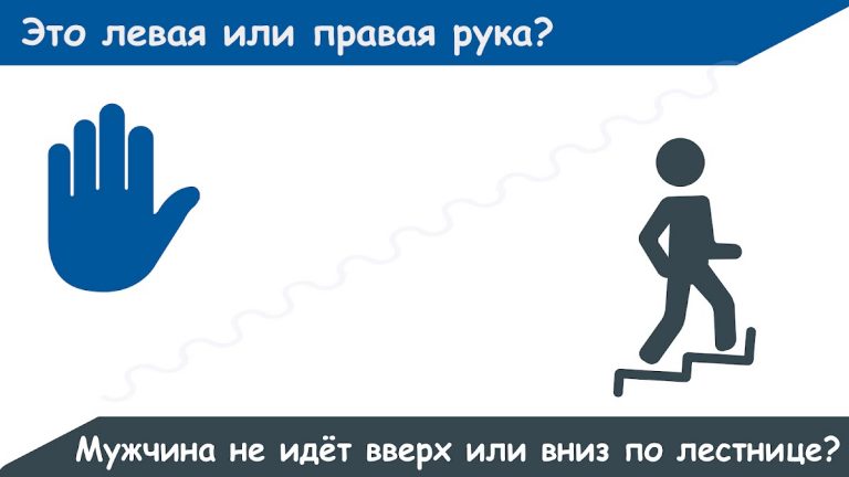 Smarter — Тренировка мозга — скриншот 1